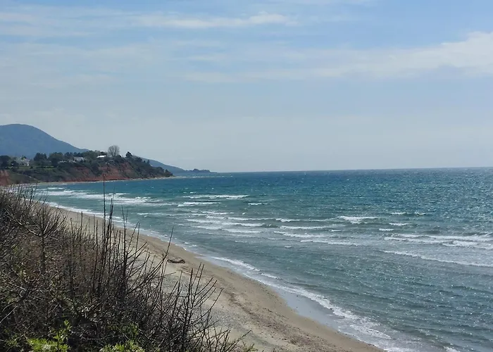 Armonia Seaside Lofts