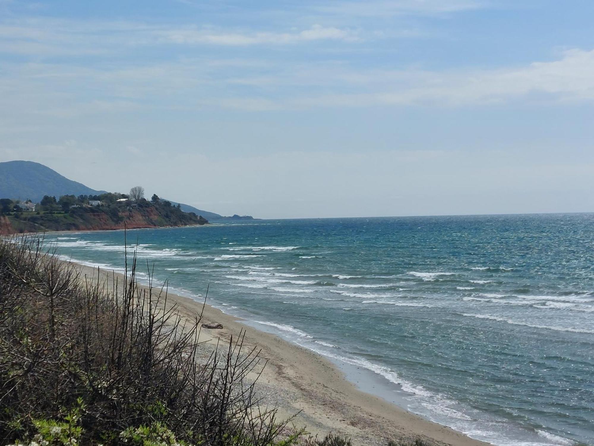 Armonia Seaside Lofts Apartment Maroneia (Rhodope)